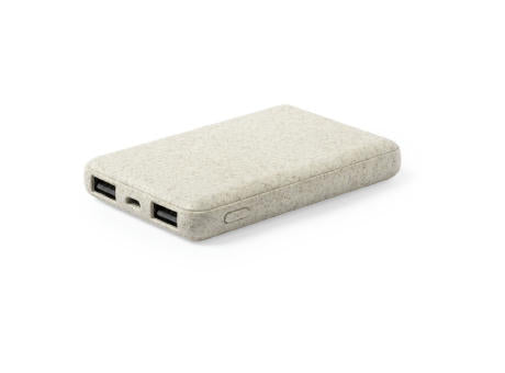 Power Bank Shiden