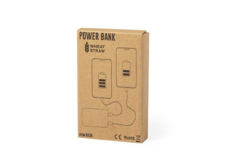 Power Bank Shiden