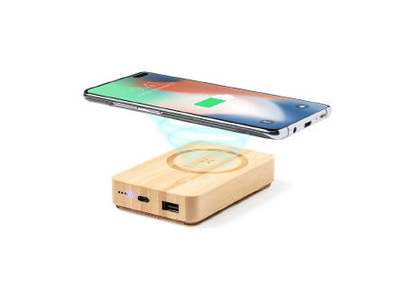 Power Bank Dobson