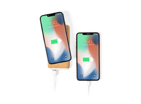 Power Bank Limerick