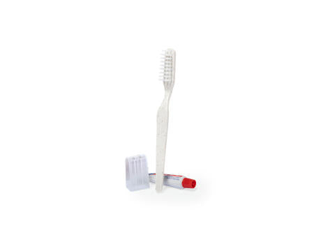Set Dental Kit