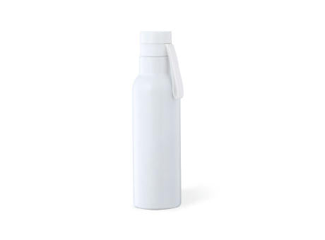 Wärme Flasche Roach