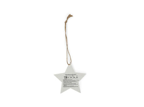 Samen Ornament Boster