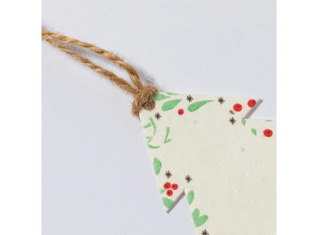 Samen Ornament Boster