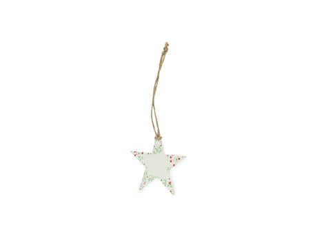 Samen Ornament Boster