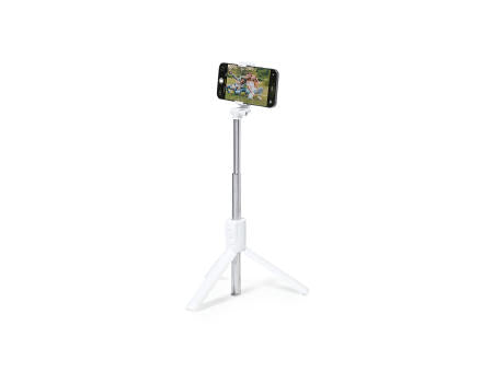 Tripod Merylin