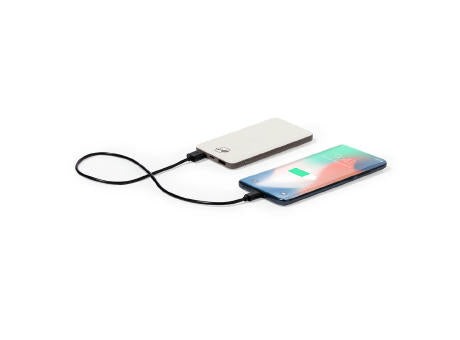 Power Bank Mayer
