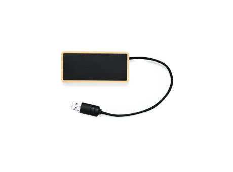 USB Hub Ginger