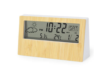 Wetterstation Roamer