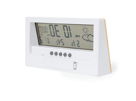 Wetterstation Roamer