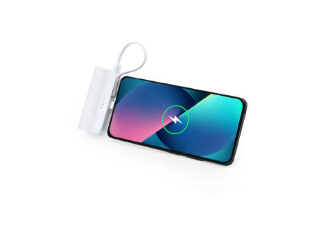 Power Bank Laford