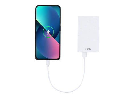 Power Bank Noiman