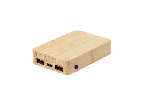 Power Bank Dominik