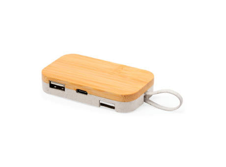 Halter USB Hub Flow