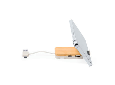 Halter USB Hub Flow
