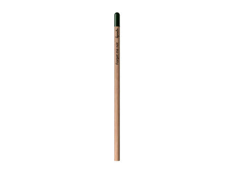 Sprout™ | Bleistift