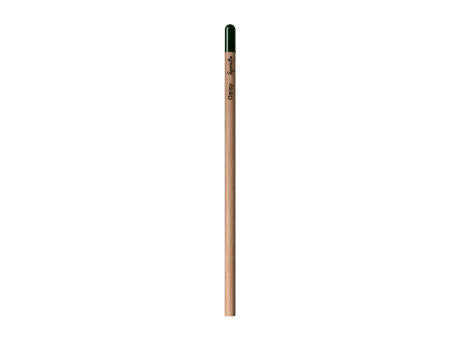 Sprout™ | Bleistift