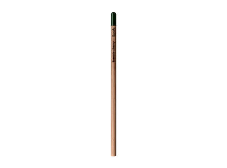 Sprout™ | Bleistift