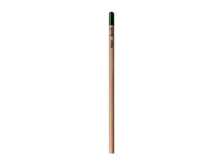 Sprout™ | Bleistift