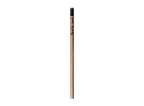 Sprout™ | Bleistift