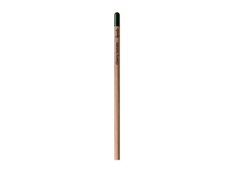 Sprout™ | Bleistift