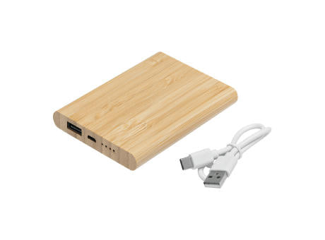 BAMBOO EVOLUTION - Powerbank