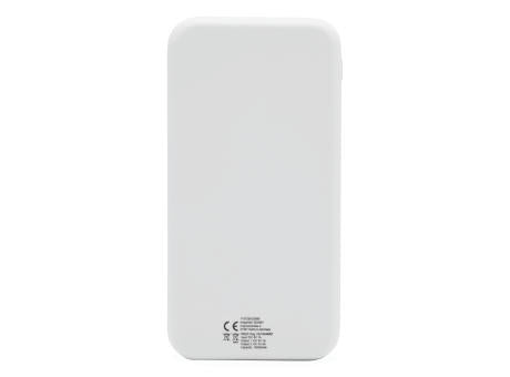 SILICON VALLEY - Powerbank