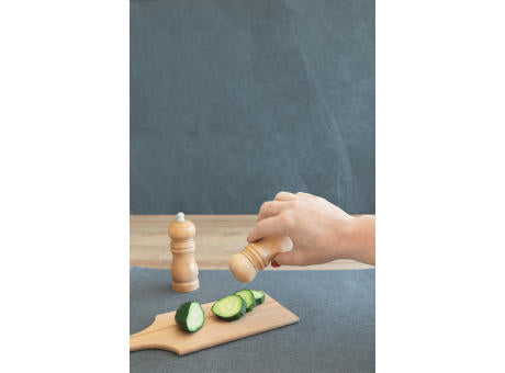 DUO SPICE - Salzstreuer & Pfeffermühle im Set