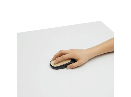 DPI MASTER - Optische Computermaus