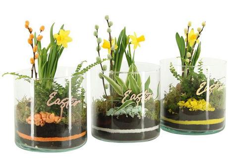 Easter glass large - Narzisse
