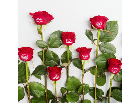 Message Printz® - Rose
