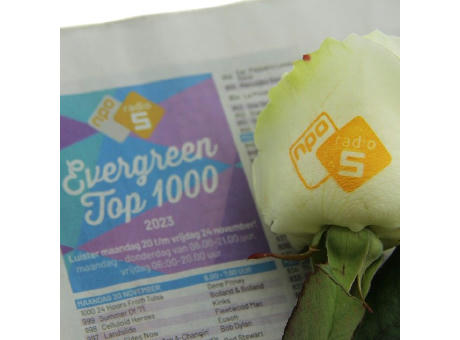 Message Printz® - Rose
