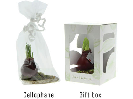 No Water Flowers® - Waxz® on wood