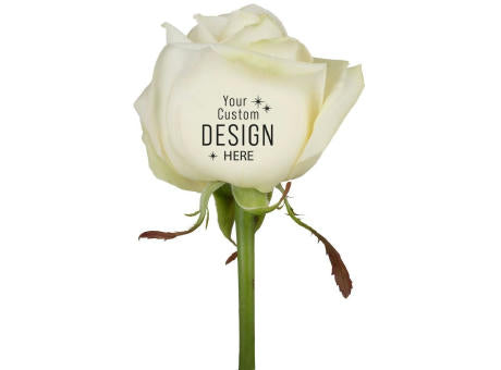 Message Printz® - Rose