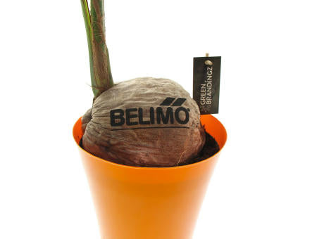 Green Brandingz® - Kokosnussbaum