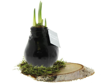 No Water Flowers® - Waxz® on wood