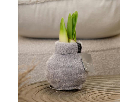 No Water Flowers® - Fashionz Cozy Fluffy mix