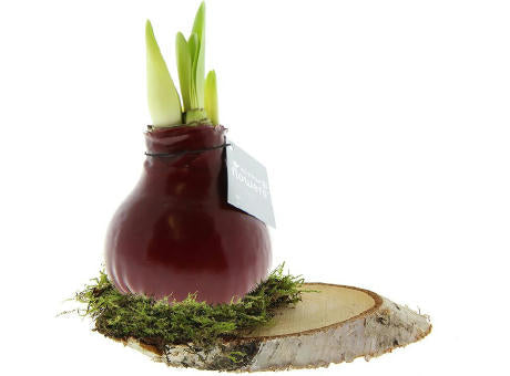 No Water Flowers® - Waxz® on wood