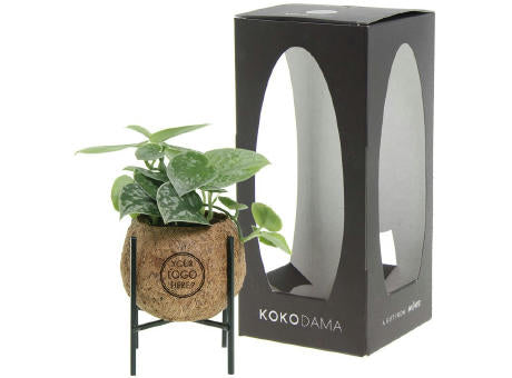 Kokodama® - Industrial green mix (S)