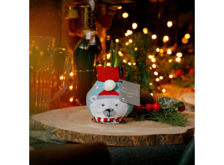 No Water Flowers® - Fashionz Xmas Silly mix