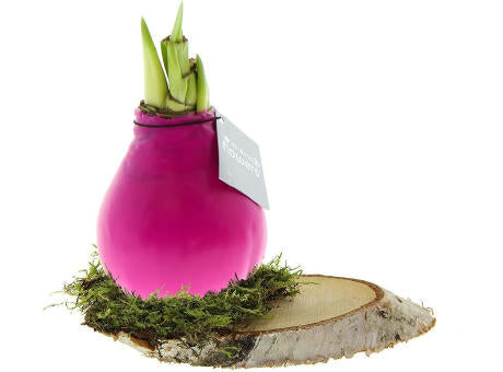No Water Flowers® - Waxz® on wood