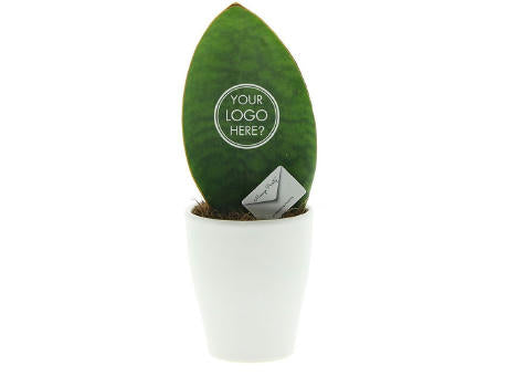 Message Printz® - Baby leaf in Geschenkbox