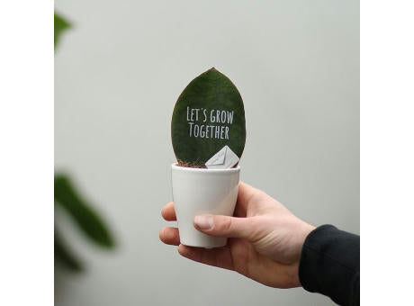 Message Printz® - Baby leaf in Geschenkbox