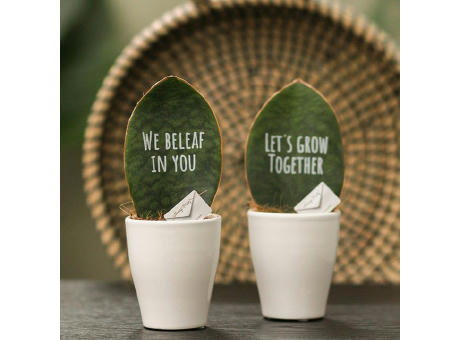 Message Printz® - Baby leaf in Geschenkbox