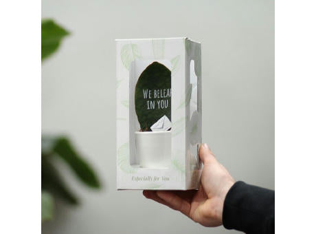 Message Printz® - Baby leaf in Geschenkbox