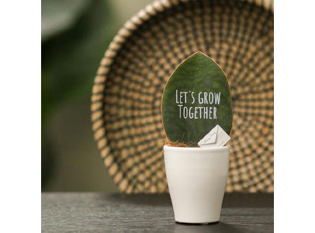 Message Printz® - Baby leaf in Geschenkbox