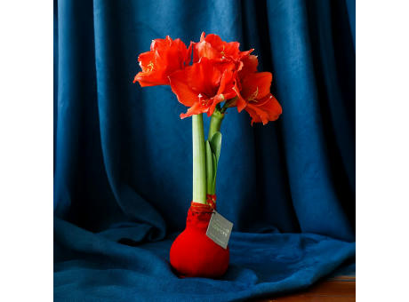 No Water Flowers® - Velvet Touchz®