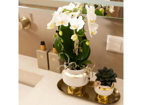 Botanical Giftset small - Luxury Gold