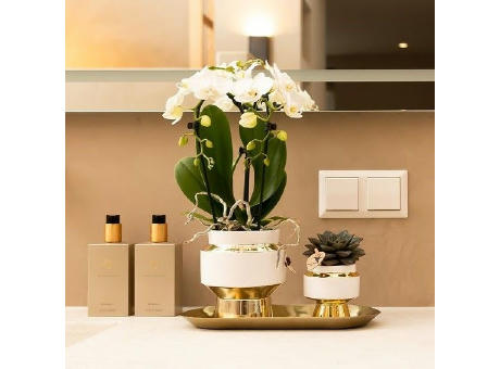 Botanical Giftset small - Luxury Gold