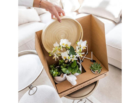 Botanical Giftset small - Luxury Gold